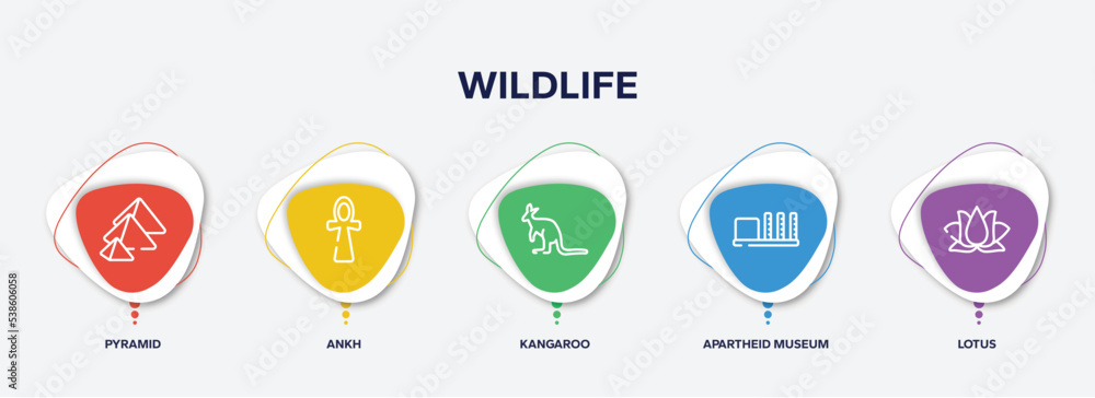 Fototapeta premium infographic element template with wildlife outline icons such as pyramid, ankh, kangaroo, apartheid museum, lotus vector.