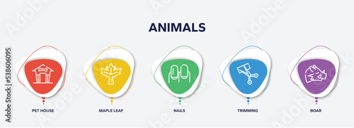 infographic element template with animals outline icons such as pet house, maple leaf, nails, trimming, boar vector.