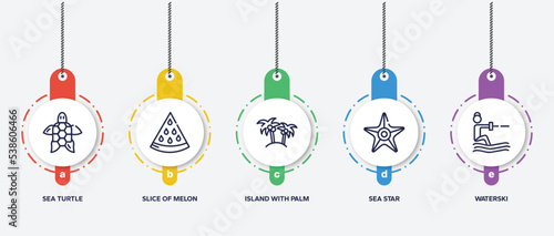 infographic element template with summer outline icons such as sea turtle, slice of melon, island with palm trees, sea star, waterski vector.