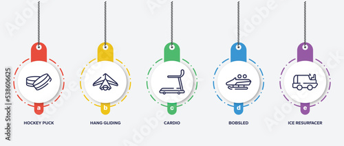 infographic element template with winter sports outline icons such as hockey puck, hang gliding, cardio, bobsled, ice resurfacer vector.