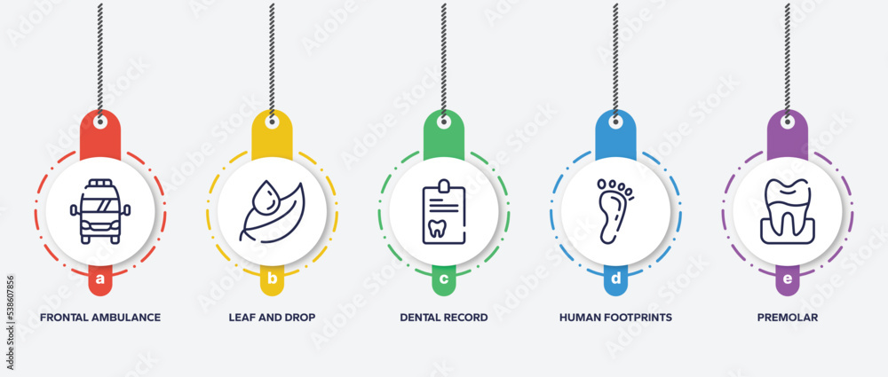 infographic element template with dental care outline icons such as frontal ambulance, leaf and drop, dental record, human footprints, premolar vector. infographic element template with dental care outline icons such as frontal ambulance, leaf and drop, dental record, human footprints, premolar vector.