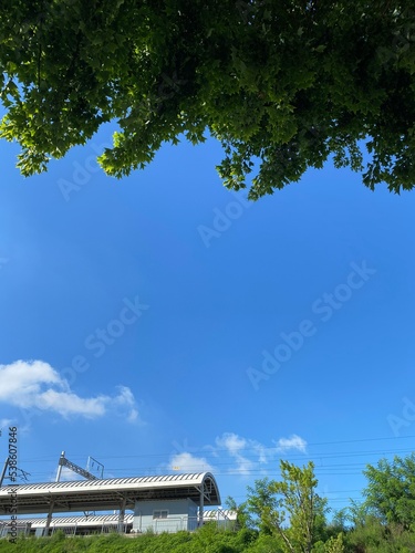 Wallpaper Mural 전철역과 자연 Torontodigital.ca