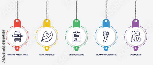infographic element template with dental care outline icons such as frontal ambulance, leaf and drop, dental record, human footprints, premolar vector.