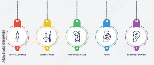 infographic element template with body parts outline icons such as hospital syringe, dentist tools, fresh soda glass, fetus, ear lobe side view vector.