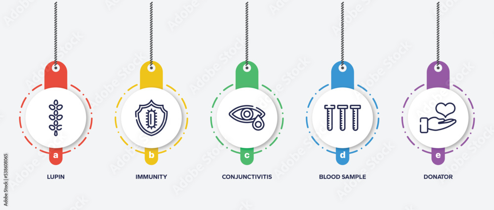 infographic element template with blood donation outline icons such as lupin, immunity, conjunctivitis, blood sample, donator vector. infographic element template with blood donation outline icons such as lupin, immunity, conjunctivitis, blood sample, donator vector.