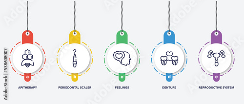 infographic element template with medical outline icons such as apitherapy, periodontal scaler, feelings, denture, reproductive system vector.