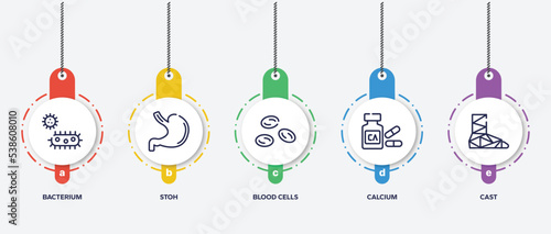 infographic element template with hospital outline icons such as bacterium, stoh, blood cells, calcium, cast vector.