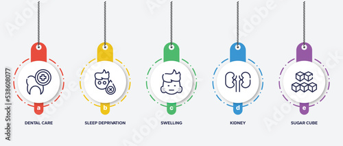 infographic element template with allergies outline icons such as dental care, sleep deprivation, swelling, kidney, sugar cube vector.