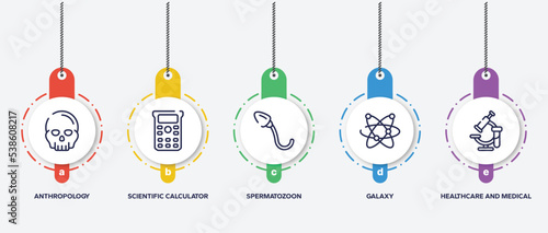 infographic element template with laboratory outline icons such as anthropology, scientific calculator, spermatozoon, galaxy, healthcare and medical vector.