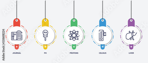 infographic element template with biology outline icons such as journal, ph, protons, celsius, liver vector.
