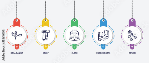 infographic element template with autumn outline icons such as rosa canina, scarf, cloak, rubber roots, rowan vector.