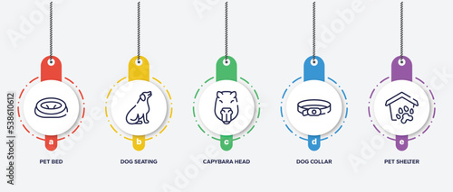 infographic element template with pet shop outline icons such as pet bed, dog seating, capybara head, dog collar, pet shelter vector.