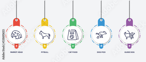 infographic element template with dog and training outline icons such as parrot head, pitbull, cat food, dog poo, guide dog vector.