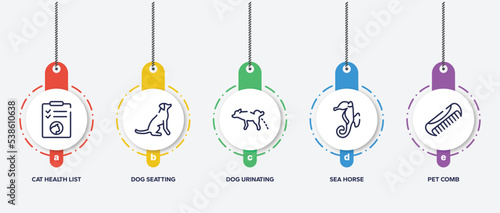 infographic element template with pet shop outline icons such as cat health list, dog seatting, dog urinating, sea horse, pet comb vector.