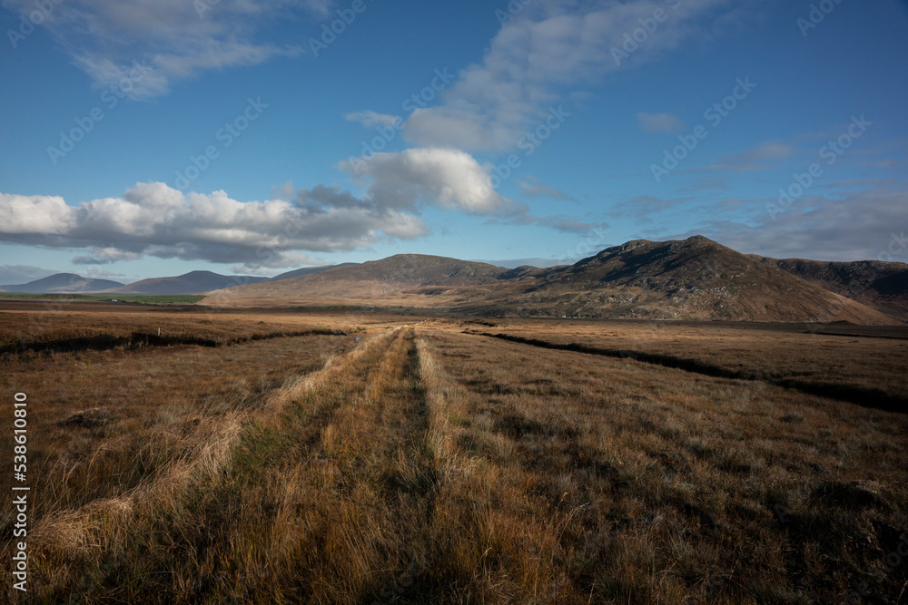 Peatlands near lough Gar during autumn. Co. Mayo, Ireland. Wild Nephin Mountains at the horizon.