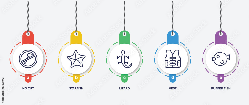 infographic element template with wildlife outline icons such as no cut, starfish, lizard, vest, puffer fish vector. infographic element template with wildlife outline icons such as no cut, starfish, lizard, vest, puffer fish vector.