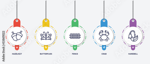 infographic element template with nature outline icons such as hazelnut, butterflies, fence, crab, harebell vector.