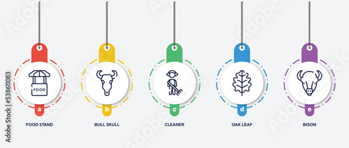 infographic element template with animal head outline icons such as food stand, bull skull, cleaner, oak leaf, bison vector.