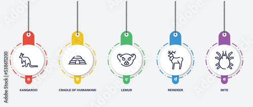 infographic element template with insects outline icons such as kangaroo, cradle of humankind, lemur, reindeer, mite vector.