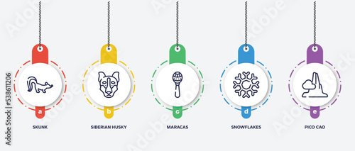 infographic element template with africa outline icons such as skunk, siberian husky, maracas, snowflakes, pico cao vector.