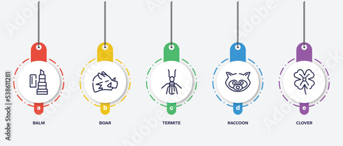 infographic element template with nature outline icons such as balm, boar, termite, raccoon, clover vector.
