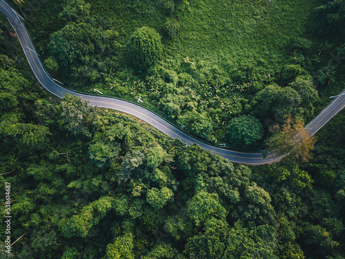 Road in green tropical rain forest with tree aerial view