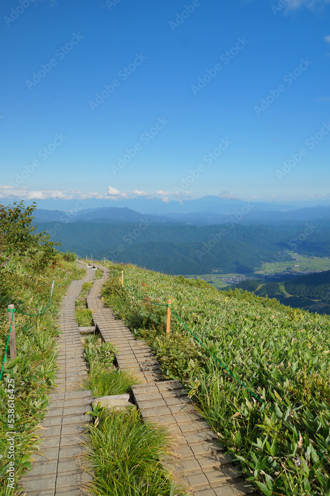 Fototapeta premium 夏の高原 木道