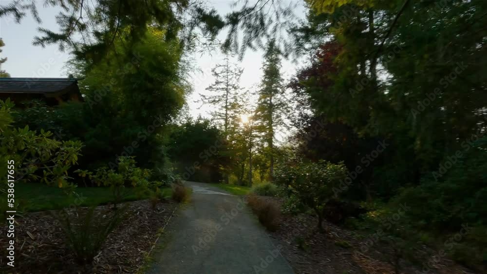 Trail in a park with vibrant green trees. Sunny summer sunset. Esquimalt Gorge Park, Victoria, Vancouver Island, British Columbia, Canada. Trail in a park with vibrant green trees. Sunny summer sunset. Esquimalt Gorge Park, Victoria, Vancouver Island, British Columbia, Canada.