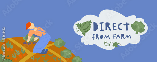 Young farmer working in allotment gardens. Editable illustration