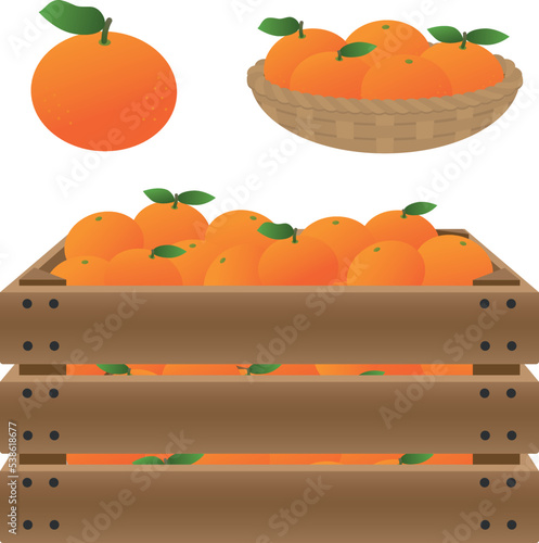 バスケット・木箱に入ったミカンのイラスト