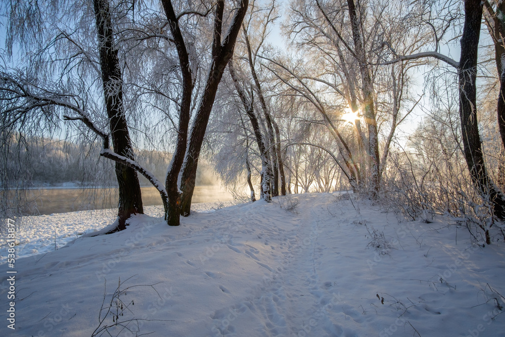 winter in the park winter in the park