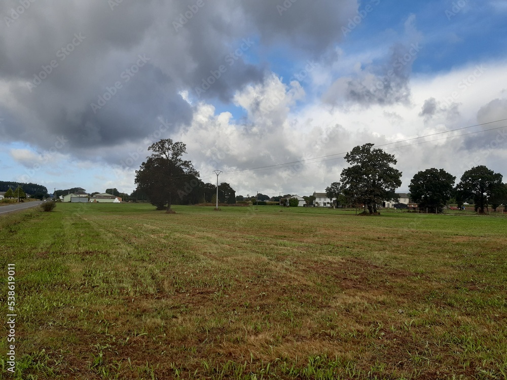 Fototapeta premium Pradera en la Terra Chá lucense, Galicia