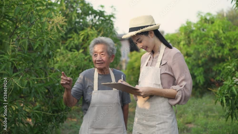 Agricultural concept of 4k Resolution. Aunt teaching her niece to make a garden. Agricultural concept of 4k Resolution. Aunt teaching her niece to make a garden.