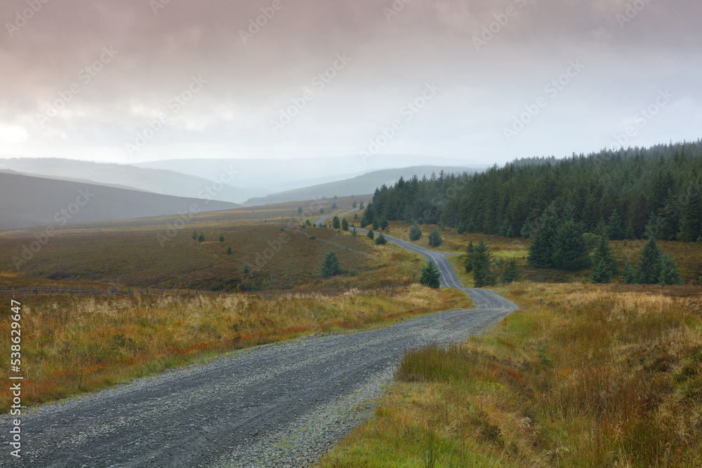 View of Keilder Forest drive, Northumberland, England, UK. View of Keilder Forest drive, Northumberland, England, UK.