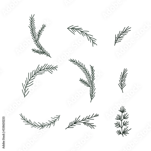 Pine tree branches set