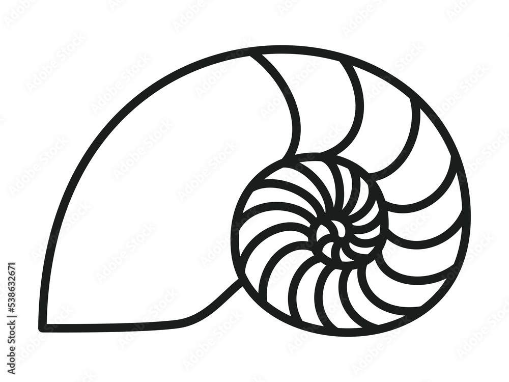 Golden ratio image, nautilus silhouette Golden ratio image, nautilus silhouette