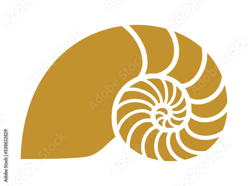 Golden ratio image, nautilus silhouette