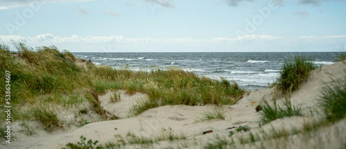 grassy sand dunes on the seashore