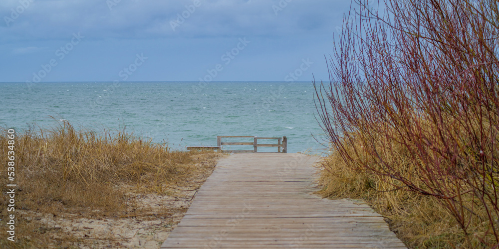 Obraz premium resting place with a bench near the sea