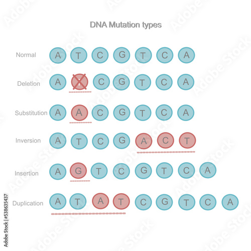The types of DNA mutation : Deletion, Substitution, Inversion, Insertion and Duplication that comparison to Normal sequences. The picture represents in icon of nitrogenous base : A T C G