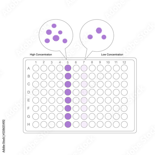 The interpretation of target molecule detection on 96 well plate that represent high and low concentration analyzing