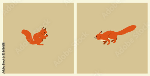 Autumn Squirrel in different poses
