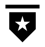 Star Shield Vector Icon 