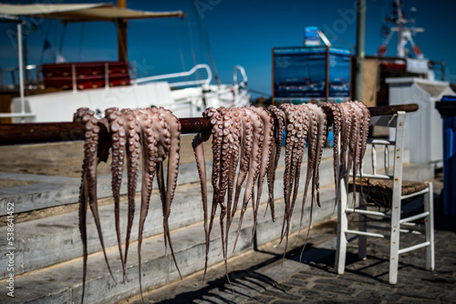 Tintenfisch an der Stange photo