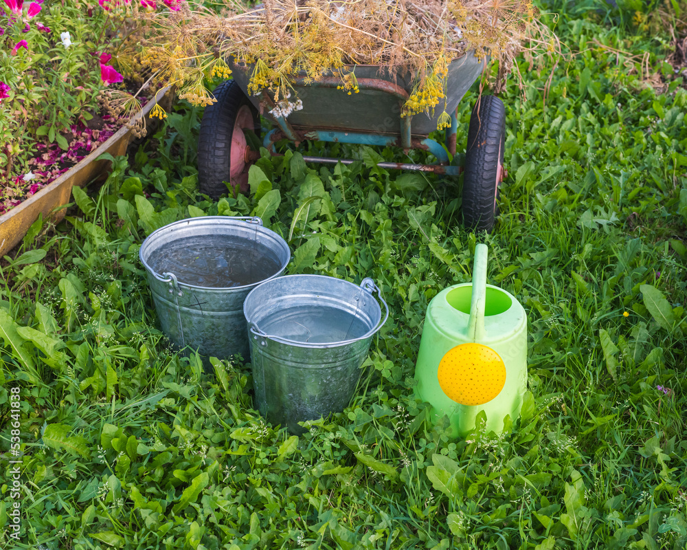 a plastic light green watering can and two metal buckets with water and a garden wheelbarrow on the ground with green grass a plastic light green watering can and two metal buckets with water and a garden wheelbarrow on the ground with green grass