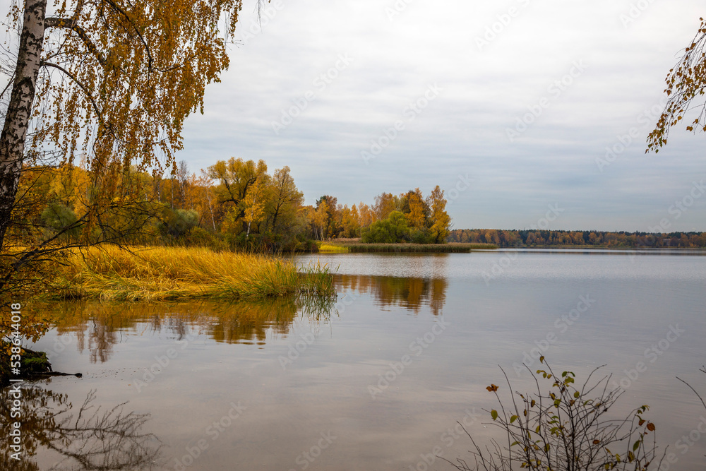 Obraz premium Lake shore in autumn