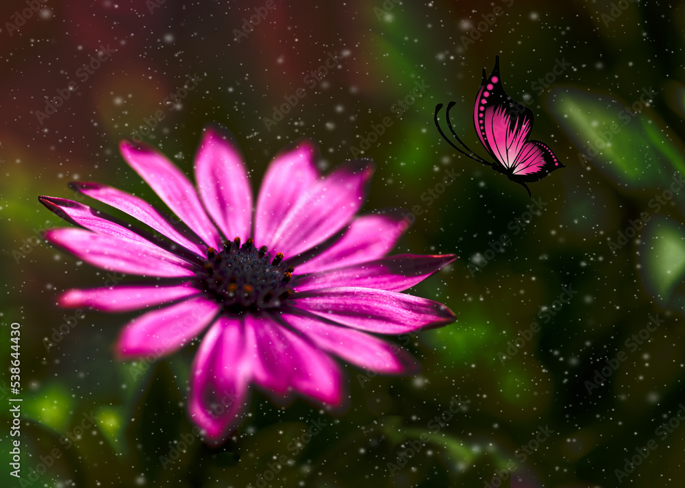 Pink flower and magical butterfly Pink flower and magical butterfly