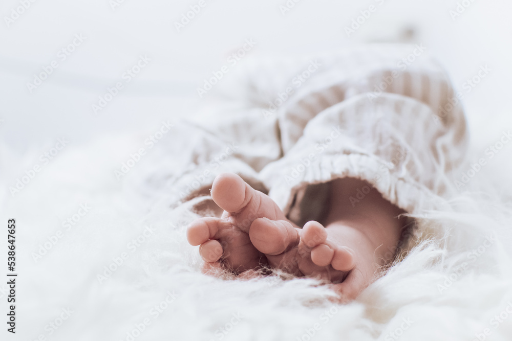 closeup of baby feet - obrazy, fototapety, plakaty 