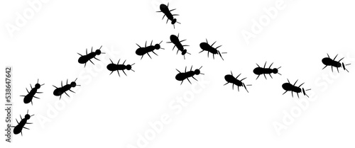 vector illustration of a line of black ants looking for food