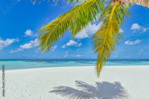 Tropical beach shore panorama as summer relax landscape and palm tree leaves over white sand blue sea sky beach banner. Amazing vacation summer holiday. Wellbeing happy travel freedom carefree concept